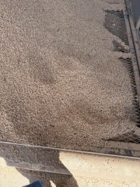 Mexican Chickpeas (Kabuli Type) – Bulk Bagged for Export